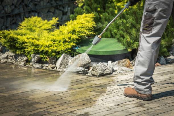 Best Driveway Cleaning and Restoration in Rock Springs, NM